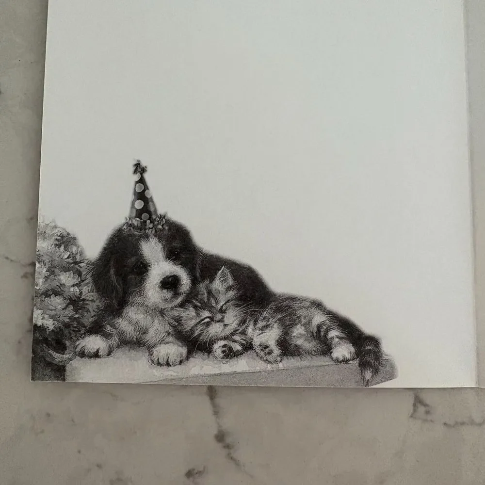 Cat & Dog Happy Birthday Card with Envelope Habitat Hope Greeting Collection - Picture 3 of 6